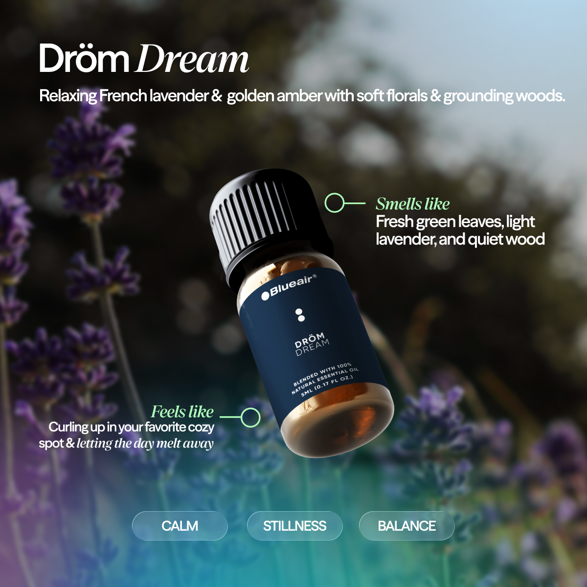 The Serenity Aroma Collection - Image 4